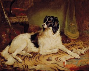 ダルハウジー侯爵ジェームズの愛犬「ミンナ」。 作： Gourlay Steel