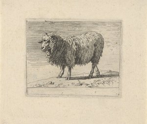 RAM いろいろな動物（シリーズタイトル）