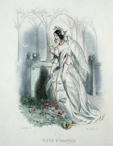 シャルル・ジェフロイ（1819-82）が彫った「アニメの花」より「オレンジの花」。 作： Grandville