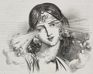 女性の美しさを描いた風刺画（Jean-Jacques Grandville（1803-1847）作）、Gaetano Riccioによるリトグラフ（『Piorama Pittoresco』n20、12月24日より 作： Grandville