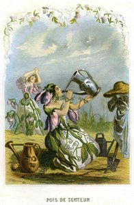 アニメの花」のイラストレーション 作： Grandville (1803 47)