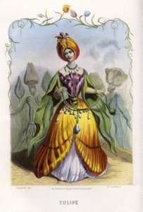 アニメの花」のイラストレーション 作： Grandville (1803 47)