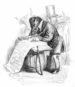 Grandville engraving from the book "Private and public life of animals (Les animaux painted par eux memes)", Hetzel edition 1867 - 風刺画：嘆願書を書くイノシシ。