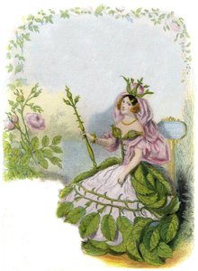 アニメの花」のイラストレーション