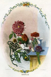 アニメの花」のイラストレーション 作： Grandville (1803 47)