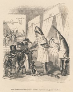 ドクターシャークが自分の手術を説明する。JJ Granvilleによるイラスト入りのヴィネット。ピエール・ベルナールが "Scenes de la vie privee et publique des animaux "の中で書いた "Les animaux medecins "という部分にゴダールのサインが入ったエングレーヴィング。by 作： Grandville
