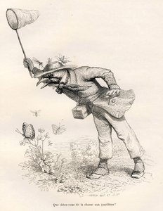 蝶を追う鳥。JJ Granvilleが描いたヴィネット。エングレーヴィングには、Charles Nodierが "Scenes de la vie privee et publique des animaux "の中で書いた "Un renard pris au piege "という部分にAndrew、Best、Leloirのサインが入っています。パリ、J.Hetzel 作： Grandville