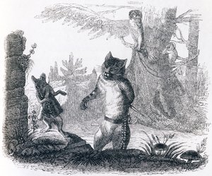 猫とネズミ（Le chat et le rat） - La Fontaineの寓話