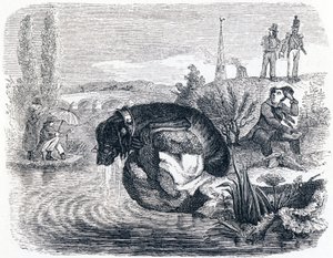日陰のために獲物を放棄する犬（le chien qui abandonne sa proie pour son ombre） - La Fontaineの寓話