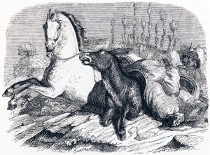 馬とロバ - ラ・フォンテーヌの寓話 作： Grandville