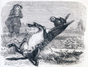 老人とキツネ - ラ・フォンテーヌの寓話 作： Grandville