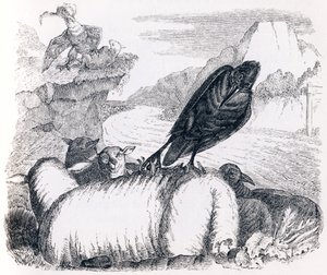 ワシの真似をしたいカラス（le corbeau voulant imiter l