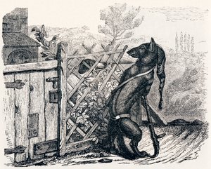 オオカミとやせっぽちの犬（Le loup et le chien maigre） - La Fontaineの寓話 作： Grandville