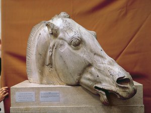 セレーネの馬の頭 作： Greek