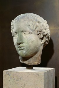 女神の頭部、「テート・ラボラード」、アテネ、パルテノン神殿より、前447年から前432年頃（大理石製 作： Greek