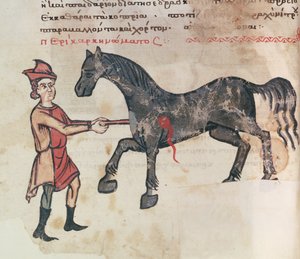 Ms Grec 2244 fol.37v馬での操作 作： Greek School