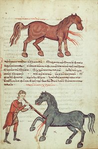 Ms Grec 2244 fol.4馬での操作 作： Greek School