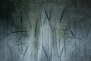  作： 