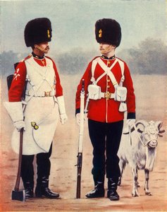「ザ ロイヤル ウェルシュ フュージリアーズ」、1901 年。