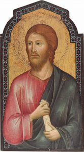 セント・ジェームズ・メジャー 作： Grifo di Tancredi