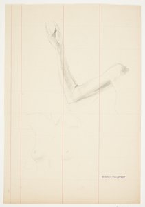 女性の腕と胴体の研究 作： Gudrun Traustedt