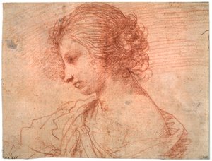 17世紀の若い女性の胸の肖像画