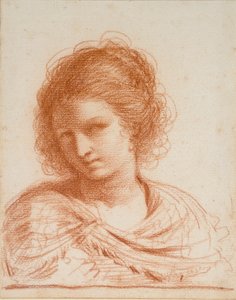 若い女性の頭部、1550-1666年