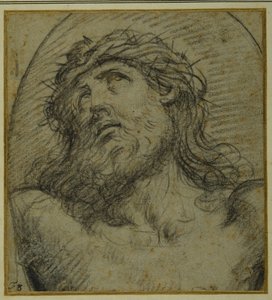 磔にされた生けるキリストの頭と肩（carta azzurraに黒チョーク 作： Guido Reni