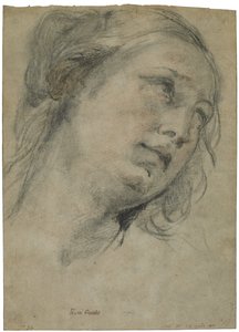 上向きの若い女性の頭、1609年頃（茶色の紙の上に白いチョークを加えた黒と赤のチョーク）