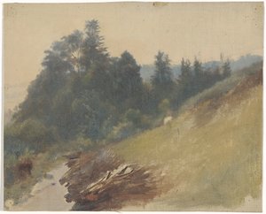 松林のある山の斜面 作： Guillaume Anne van der Brugghen
