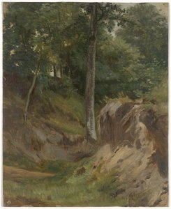 森の枯れ川 作： Guillaume Anne van der Brugghen