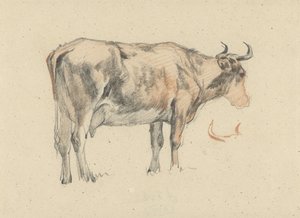 立っている牛、右側 作： Guillaume Anne van der Brugghen
