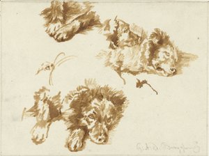 犬の研究 作： Guillaume Anne van der Brugghen