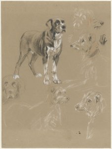 犬の研究 作： Guillaume Anne van der Brugghen