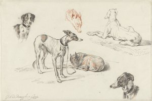 犬の研究 作： Guillaume Anne van der Brugghen