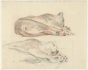 横になっているトラの 2 つの研究 作： Guillaume Anne van der Brugghen