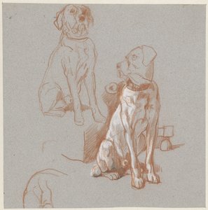 座っている犬の 2 つの研究