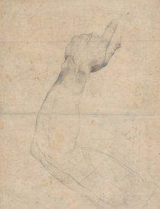 腕の研究 [裏面] 作： Guillaume Lethiere