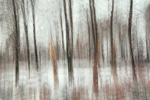  作： Gustav Davidsson