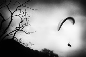  作： Gustav Davidsson