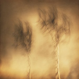  作： Gustav Davidsson