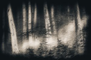  作： Gustav Davidsson