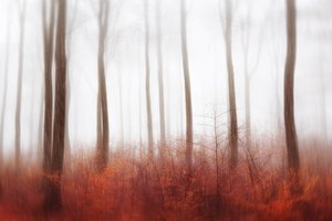  作： Gustav Davidsson