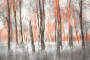 作： Gustav Davidsson
