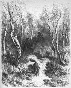 le chat et le fox (狐と猫) - Jean de La Fontaine (Lafontaine) (1621-95) の「寓話」より - Gustave Dore (1832-83) の後のエングレービング - 個人蔵 作： Gustave (after) Dore