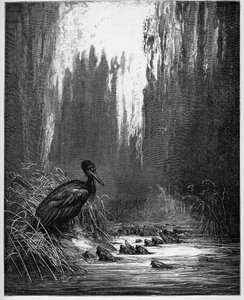 les poisson et le cormorant - 魚と鵜 - Jean de La Fontaine (Lafontaine) (1621-95)の「寓話」より - Gustave Dore (1832-83)の後のエングレービング - 個人蔵