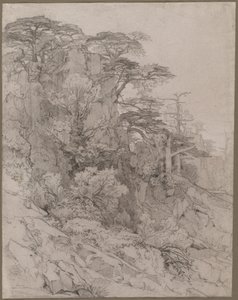 ロッキーヒルサイドの木々 作： Gustave Achille Guillaumet