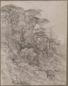 ロッキーの丘陵地の木、1800年代後半 作： Gustave Achille Guillaumet