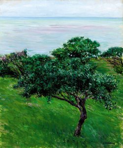 リンゴの木、海、トルビル、1880 作： Gustave Caillebotte