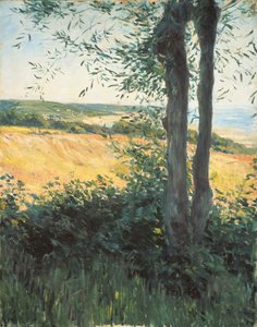 海沿い、ノルマンディー、1884 作： Gustave Caillebotte